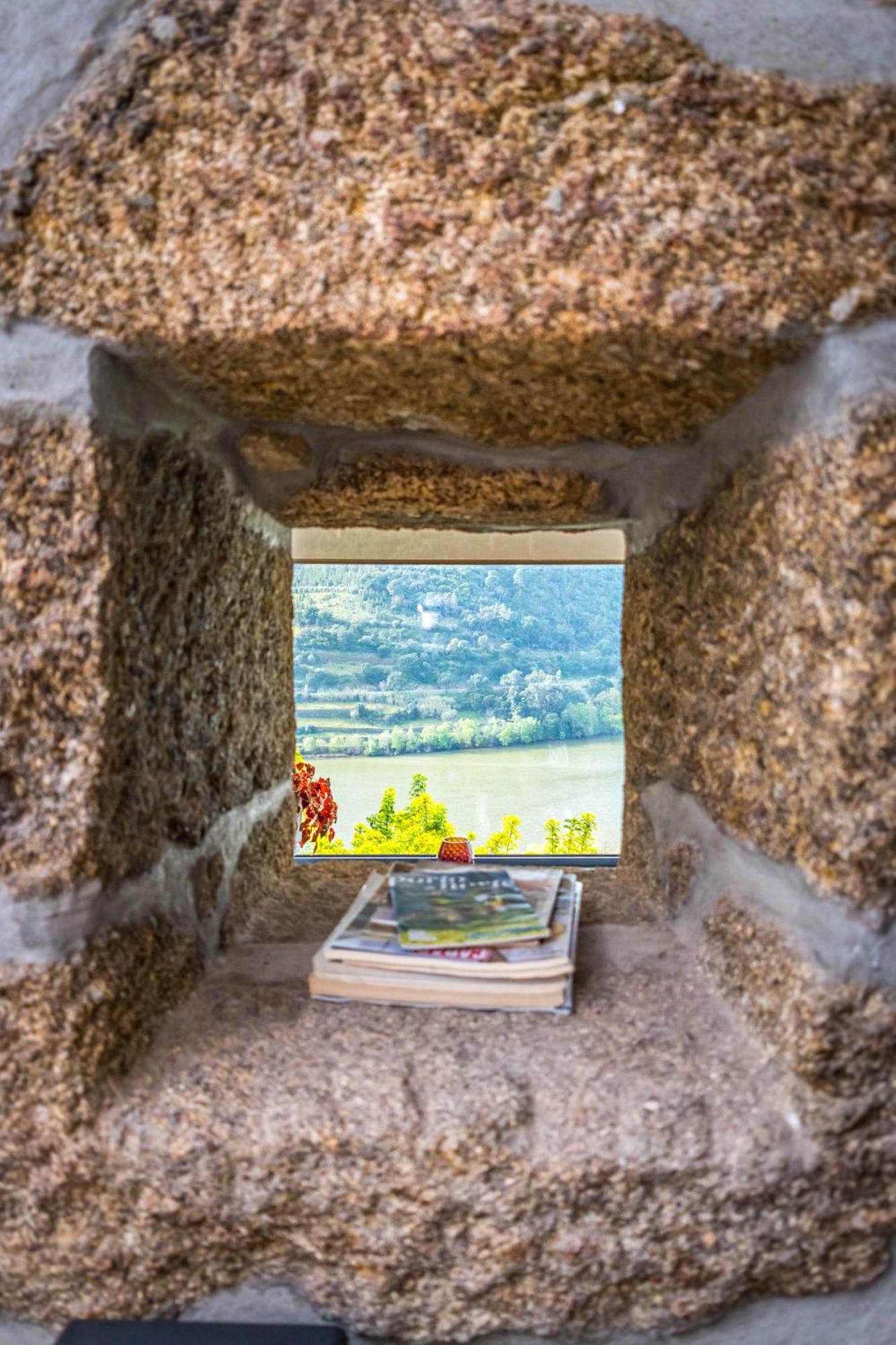 Fraga Douro House, Douro Valley Resende Zewnętrze zdjęcie